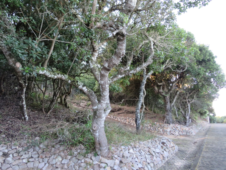 0 Bedroom Property for Sale in East Bank Eastern Cape